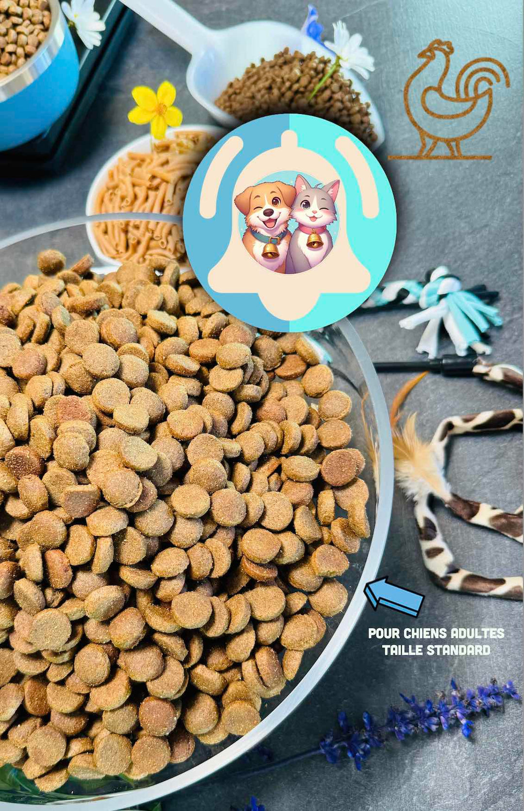Croquettes Française Pavllove à la Volaille pour chien de taille standard, riche en protéines, vitamines, nos croquettes sont précuites à la vapeur.
