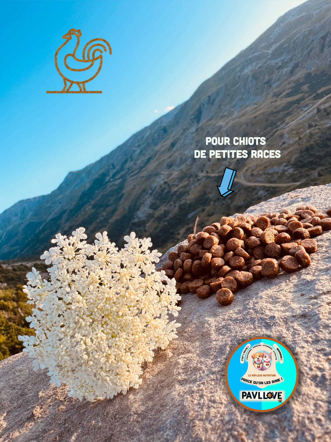 Croquettes à la Volaille pour chiot de petites race, Riche en protéines de Volaille et vitamines, nos croquettes sont précuites à la vapeur en Auvergne
