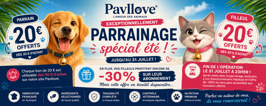 🎉 Offre exceptionnelle : 20 € offerts au parrain et au filleul jusqu'au 31 juillet !