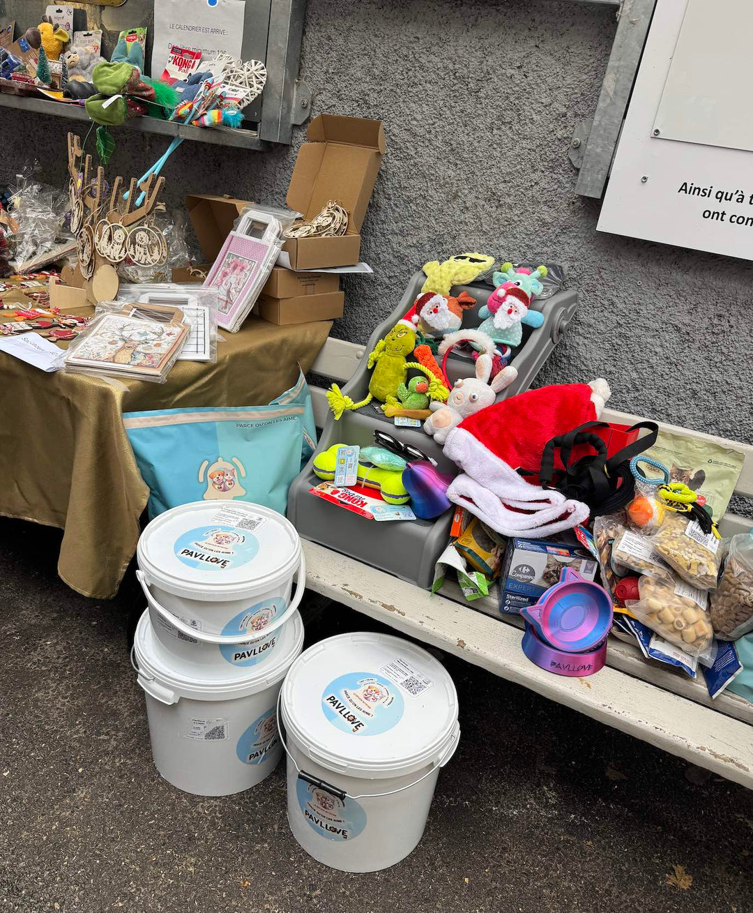 🎄🐾 Pavllove s'engage auprès de la SPA du Dauphiné : un Noël solidaire sous le signe du partage