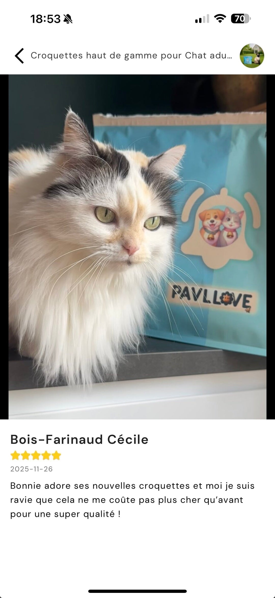 Un immense bravo à Bonnie , notre grande gagnante du grand jeu concours Pavllove ! 🎉🐱