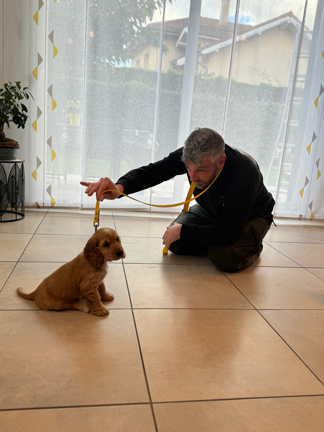 Comprendre et résoudre les problèmes comportementaux courants chez le chien.