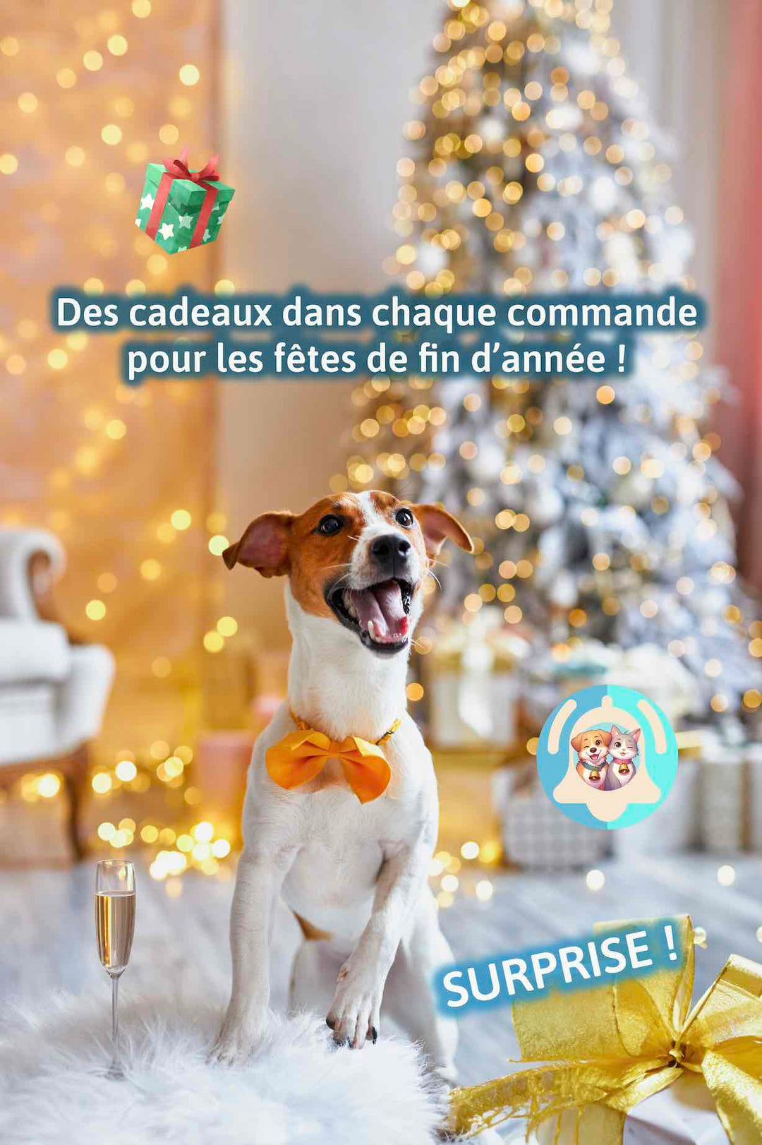 Pavllove vous gâte pour les fêtes de fin d'année ! 🎁🐾