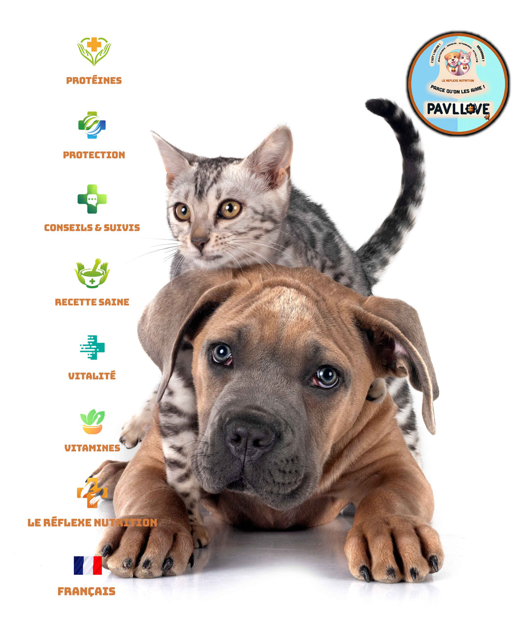 Choisir les meilleures croquettes pour chien et chats en 2024