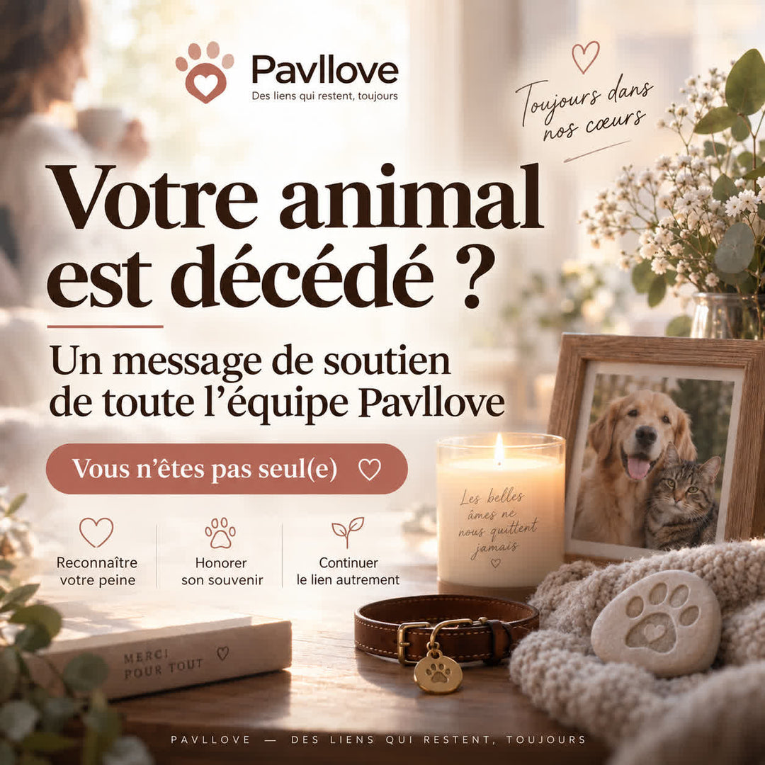 Personne en deuil après la perte de son chien ou de son chat, accompagnée avec bienveillance dans cette période difficile