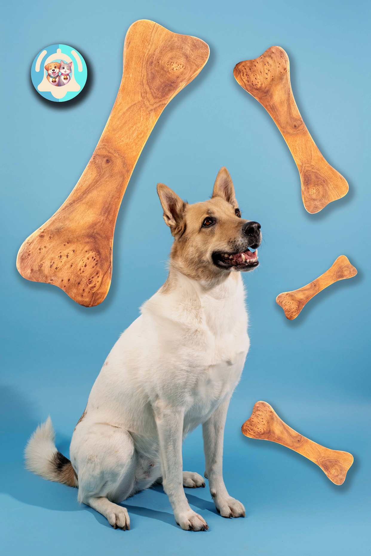 Friandises artisanales pour chiens et chats