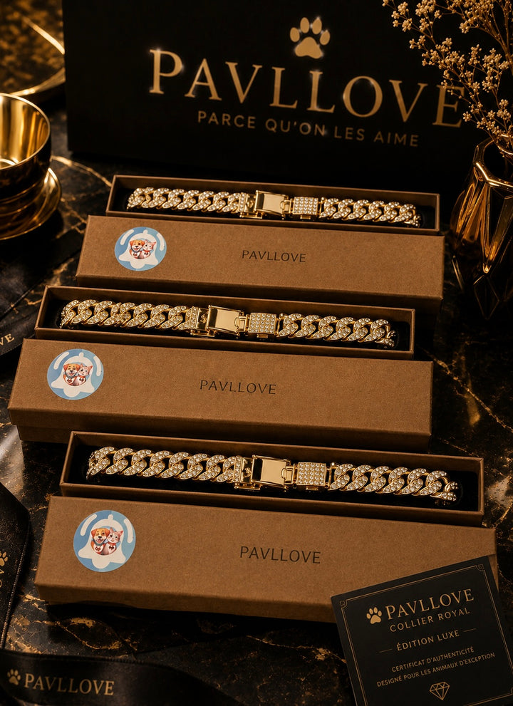 💎 Collier pour chien et chat, Édition Royale – Élégance, Brillance Absolue avec ses strass ⭐⭐⭐⭐⭐