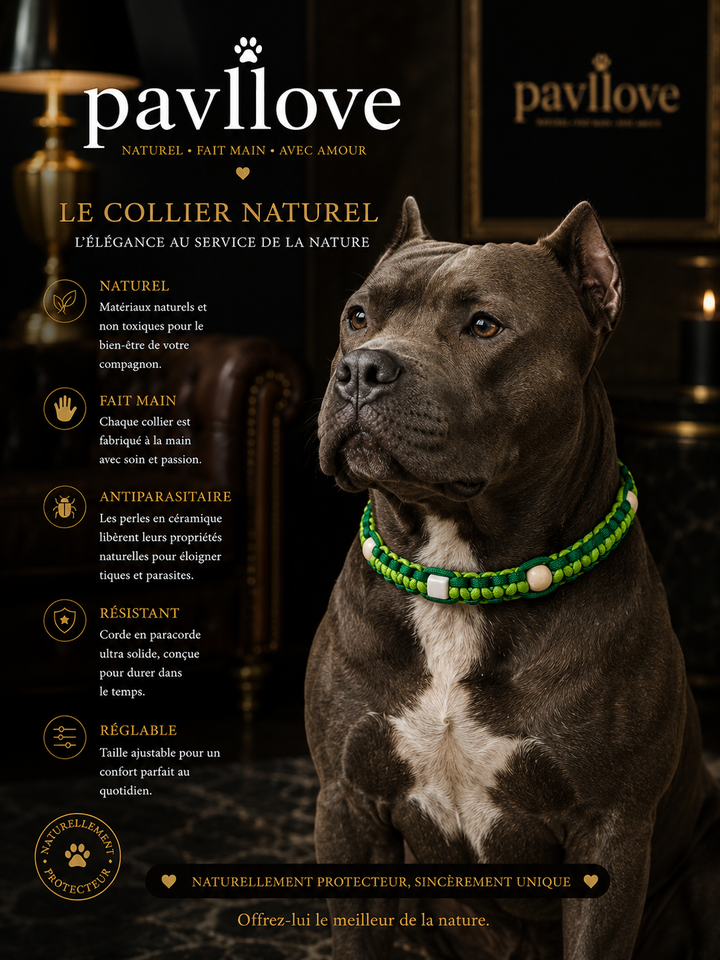 Collier Anti-Tiques & Antiparasitaire Naturel Chien et Chat, Fait Main en France, Perles de Céramique EM (Gamme Tréssée)