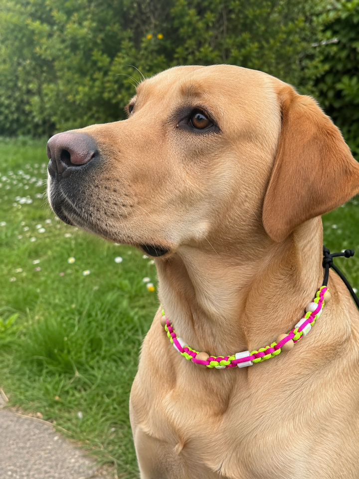 Collier Fluo Jaune & Rose Anti-Tiques & Antiparasitaire Naturel (Tréssée) avec Perles de céramique EM ⭐⭐⭐⭐⭐
