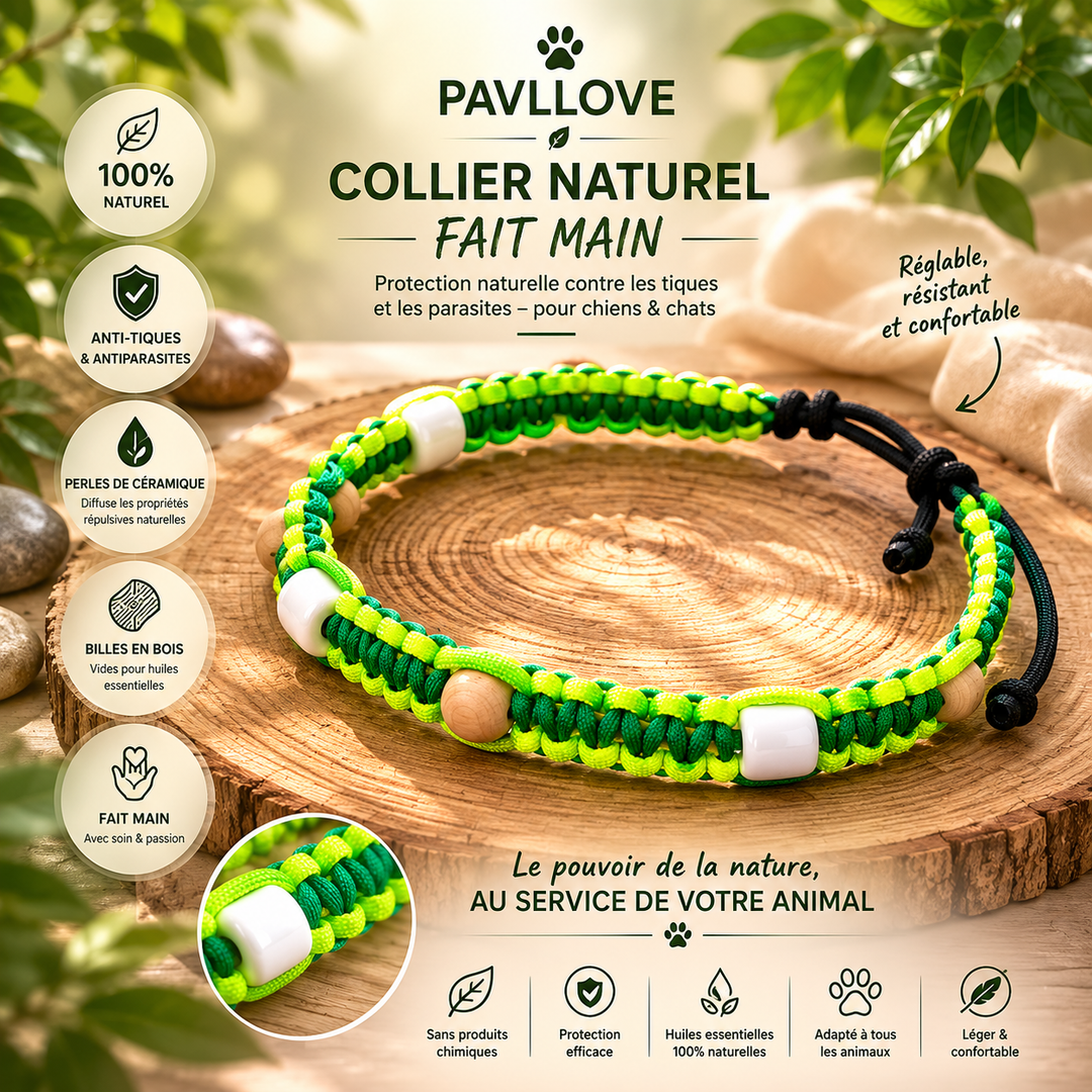 Collier Anti-Tiques & Antiparasitaire Naturel Chien et Chat, Fait Main en France, Perles de Céramique EM (Gamme Tréssée)