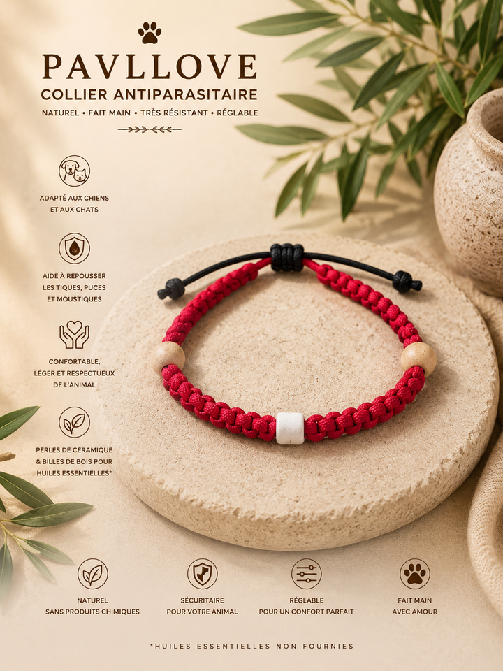 Collier Rouge Torsadé Anti-Tiques Naturel, Antiparasitaire avec Perles de Céramique EM ⭐⭐⭐⭐⭐
