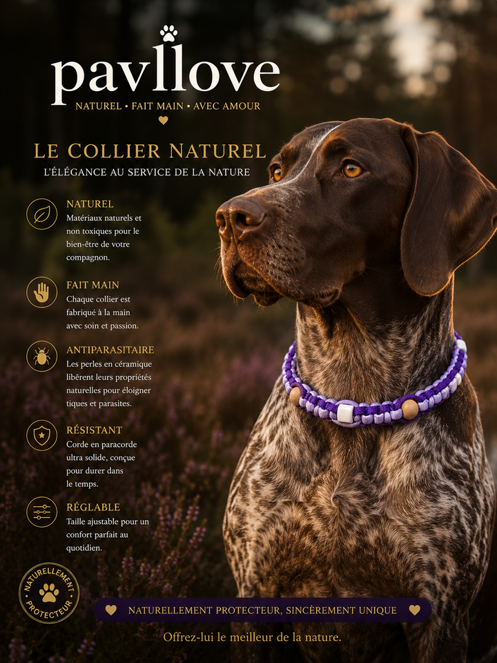 Collier Anti-Tiques & Antiparasitaire Naturel Chien et Chat, Fait Main en France, Perles de Céramique EM (Gamme Tréssée)