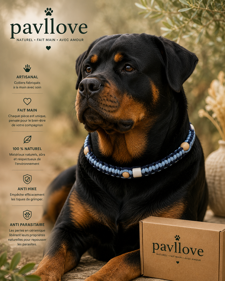 Collier Anti-Tiques & Antiparasitaire Naturel Chien et Chat, Fait Main en France, Perles de Céramique EM (Gamme Tréssée)