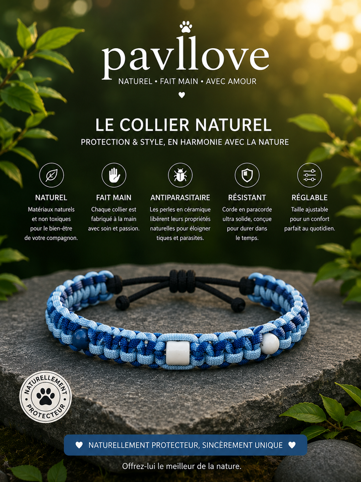 Collier perle Naturel Quartz / Améthyste / Lapis Lasuli / Ambre / Labradorite / oeil du tigre / Aventurine / Aiguemarine / Agathe  ⭐⭐⭐⭐⭐
