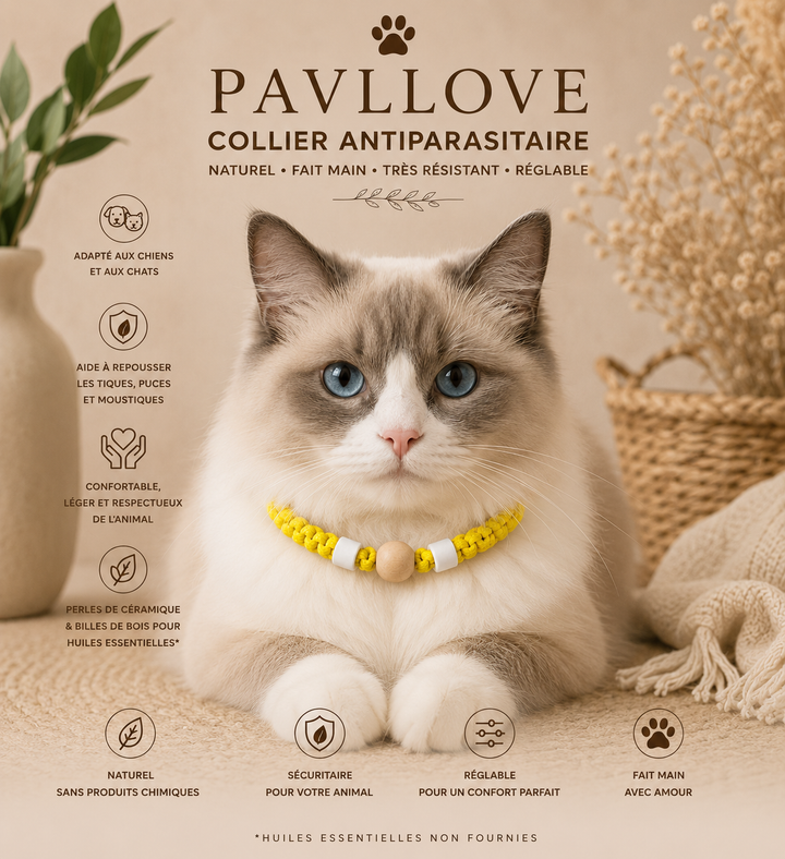 Collier Jaune Torsadé Anti-Tiques Naturel, Antiparasitaire avec Perles de Céramique EM ⭐⭐⭐⭐⭐