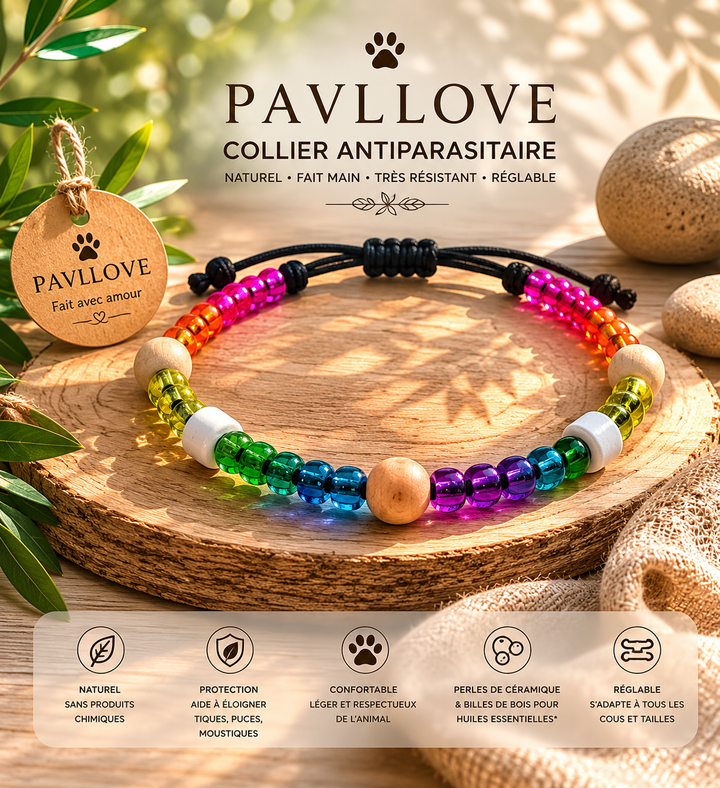 Collier Perle transparente multicolor Anti-Tiques & Antiparasitaire Naturel, Perles de Céramique EM ⭐⭐⭐⭐⭐ - Pavllove