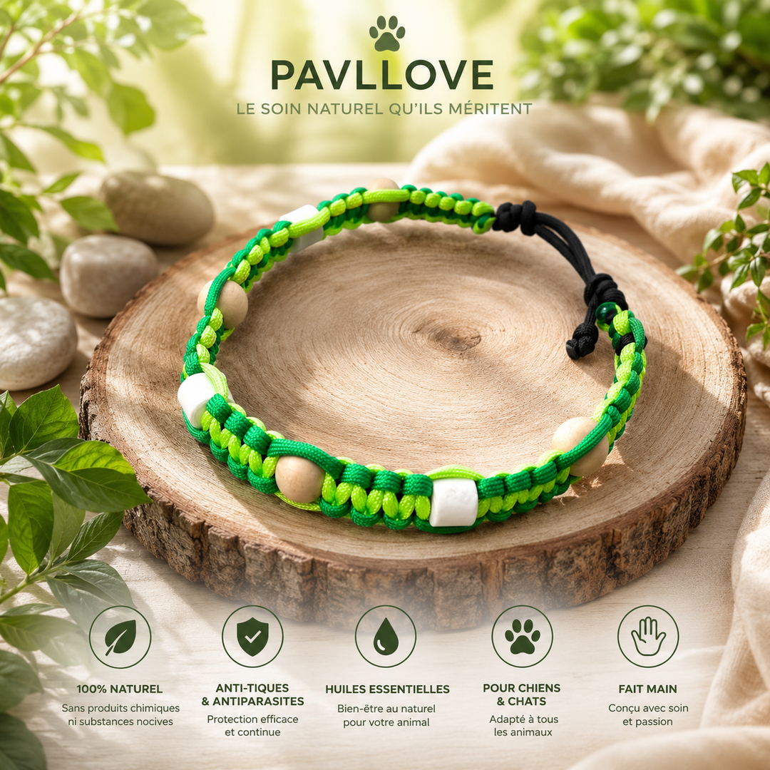 Collier Anti-Tiques & Antiparasitaire Naturel Chien et Chat, Fait Main en France, Perles de Céramique EM (Gamme Tréssée)