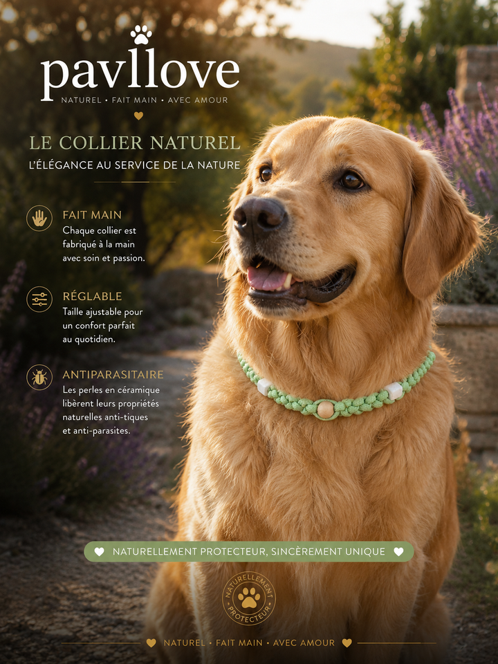 Collier vert Torsadé Anti-Tiques Naturel, Antiparasitaire avec Perles de Céramique EM ⭐⭐⭐⭐⭐