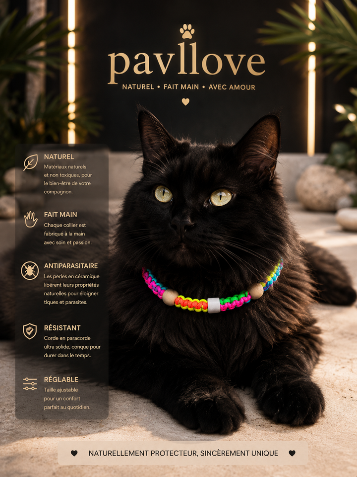 Collier Anti-Tiques & Antiparasitaire Naturel Chien et Chat, Fait Main en France, Perles de Céramique EM (Gamme Tréssée)