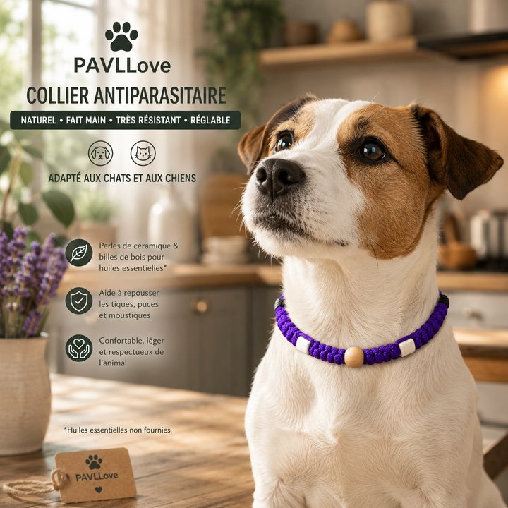Collier Violet Torsadé Anti-Tiques Naturel, Antiparasitaire avec Perles de Céramique EM ⭐⭐⭐⭐⭐ (Copie)