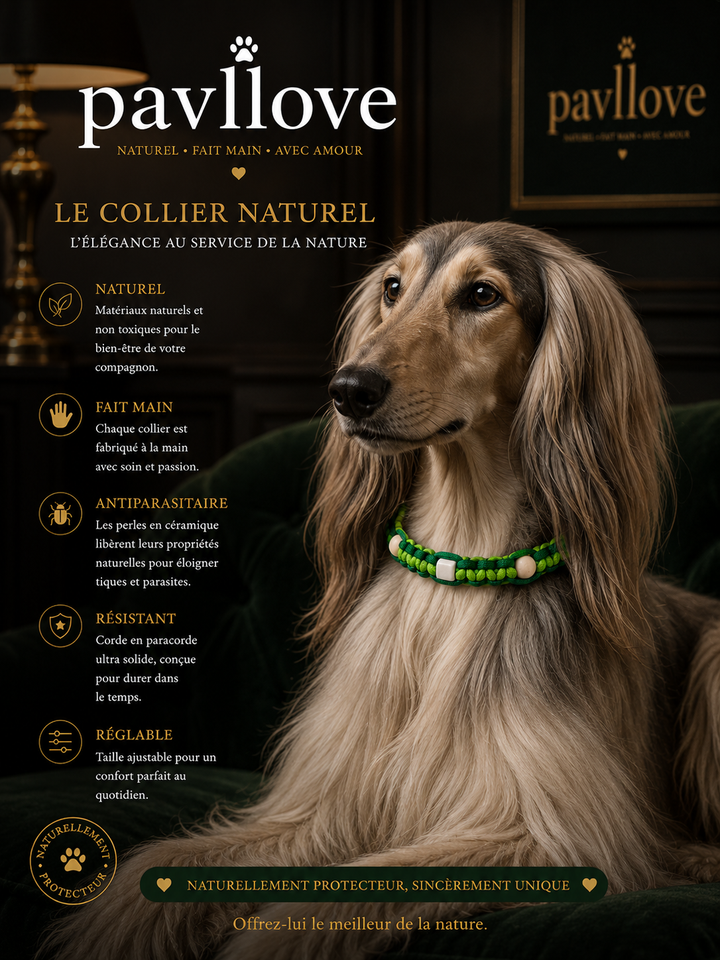 Collier Anti-Tiques & Antiparasitaire Naturel Chien et Chat, Fait Main en France, Perles de Céramique EM (Gamme Tréssée)