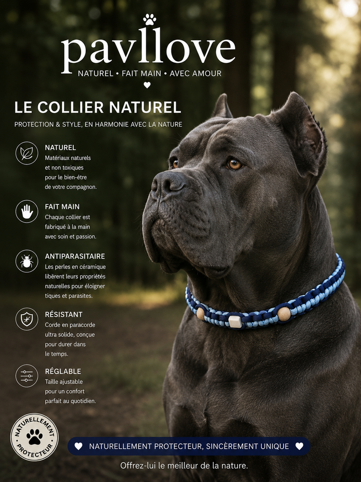 Collier Anti-Tiques & Antiparasitaire Naturel Chien et Chat, Fait Main en France, Perles de Céramique EM (Gamme Tréssée)