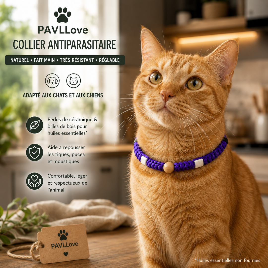 Collier Violet Torsadé Anti-Tiques Naturel, Antiparasitaire avec Perles de Céramique EM ⭐⭐⭐⭐⭐ (Copie)