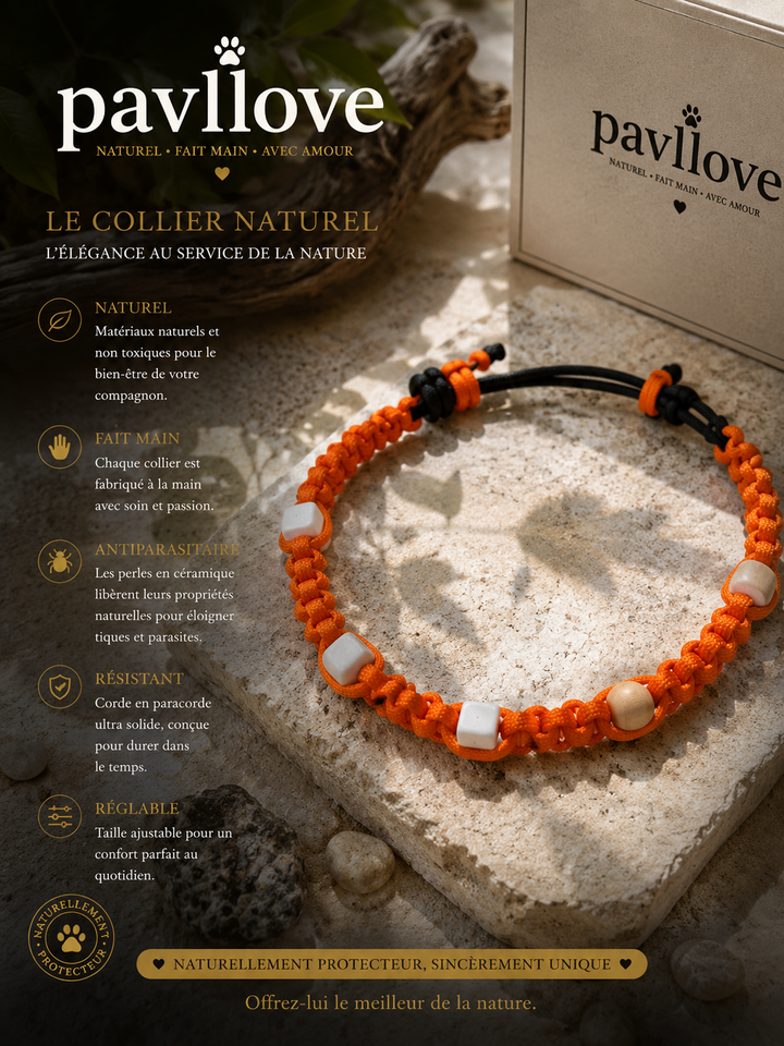 Collier Orange Torsadé Anti-Tiques Naturel, Antiparasitaire avec Perles de Céramique EM ⭐⭐⭐⭐⭐