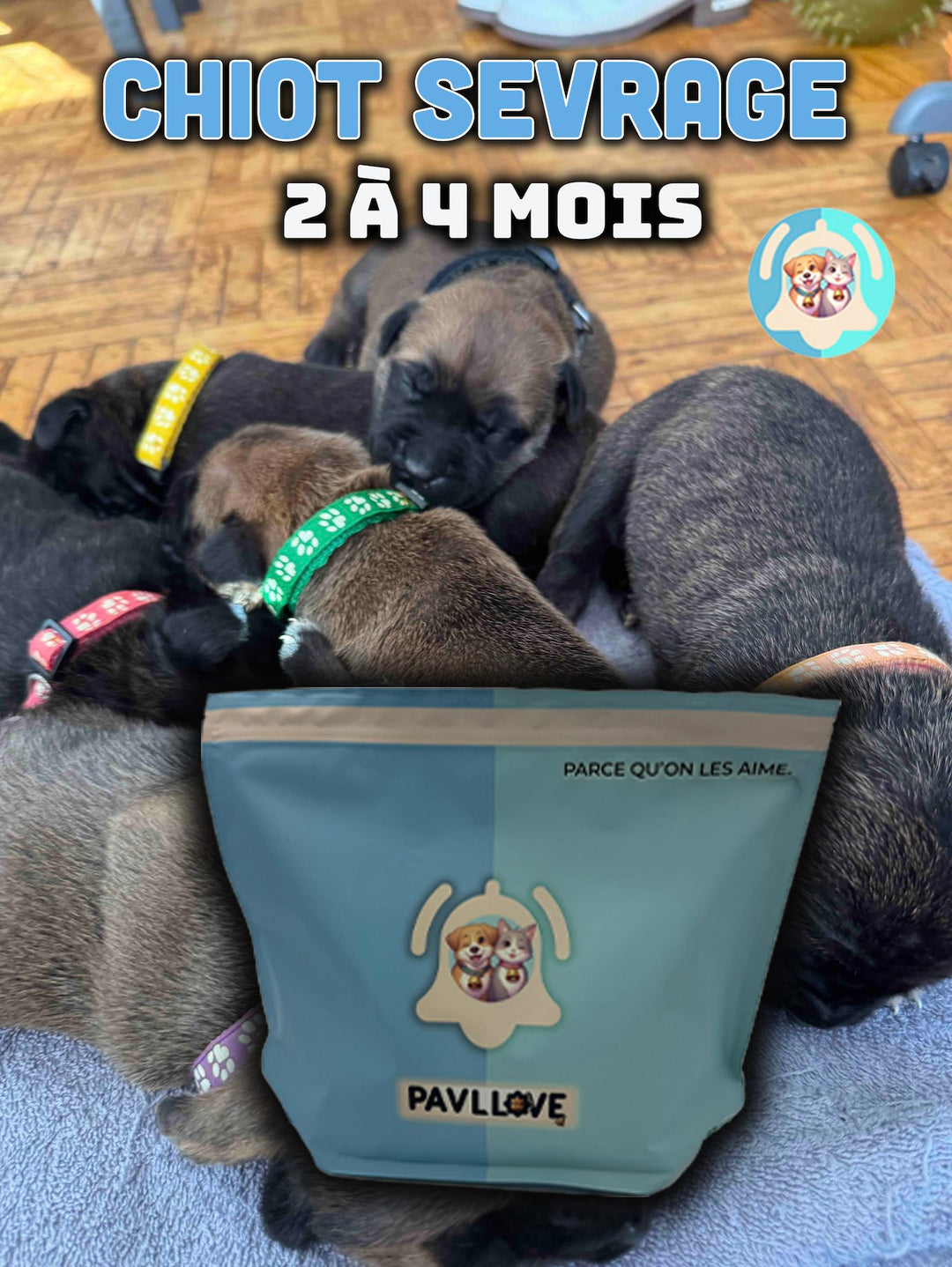 Croquettes Chiot Sevrage Premium – Sevrage Pavllove® (2 à 4 mois)