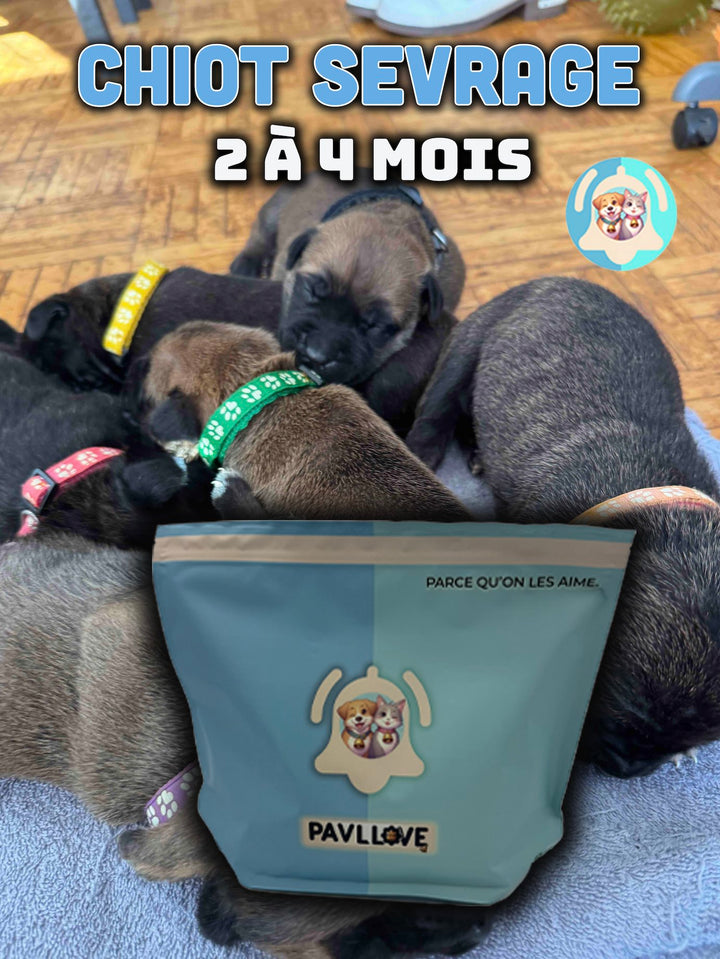 Croquettes Chiot Sevrage Premium – Sevrage Pavllove® (2 à 4 mois)
