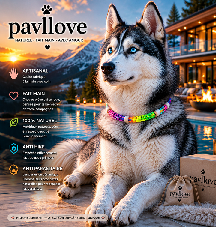 Collier Anti-Tiques & Antiparasitaire Naturel Chien et Chat, Fait Main en France, Perles de Céramique EM (Gamme Tréssée)