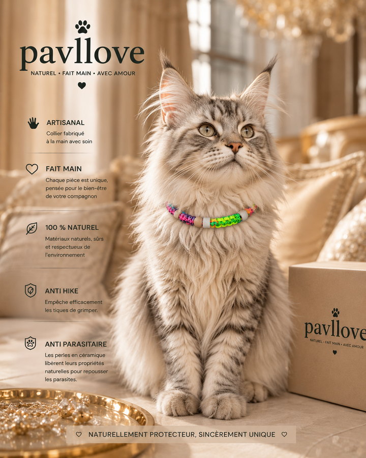 Collier Anti-Tiques & Antiparasitaire Naturel Chien et Chat, Fait Main en France, Perles de Céramique EM (Gamme Tréssée)