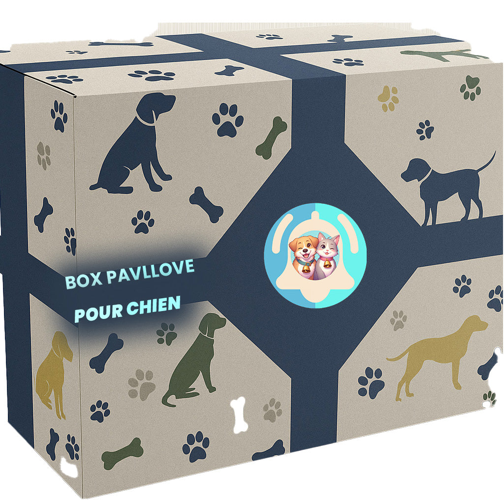 Box cadeau pour chien