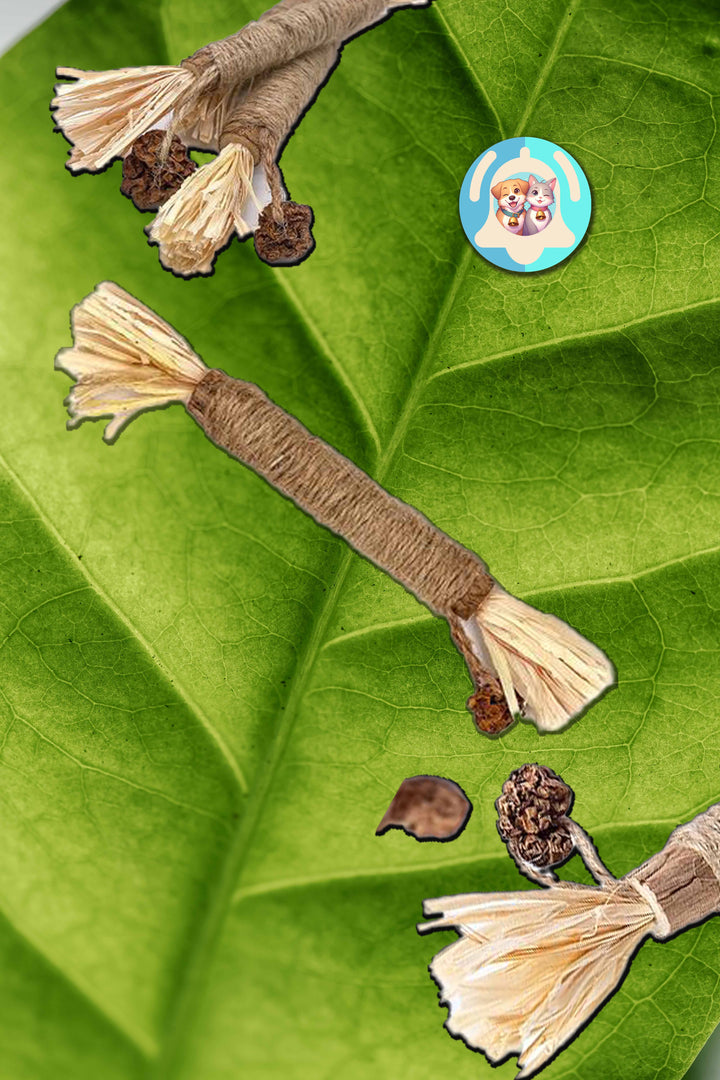 Friandises naturelles Pavllove, bâtonnets de matatabi 2 pièces, relaxants et sans additifs, parfaits pour chats de toutes races.