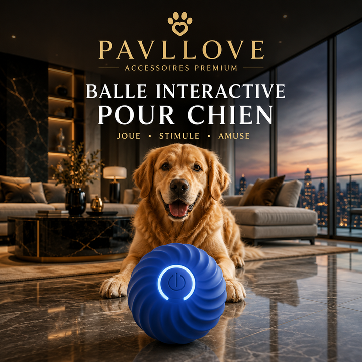 Jouet interactif pour chien Pavllove avec mouvements automatiques et recharge USB-C