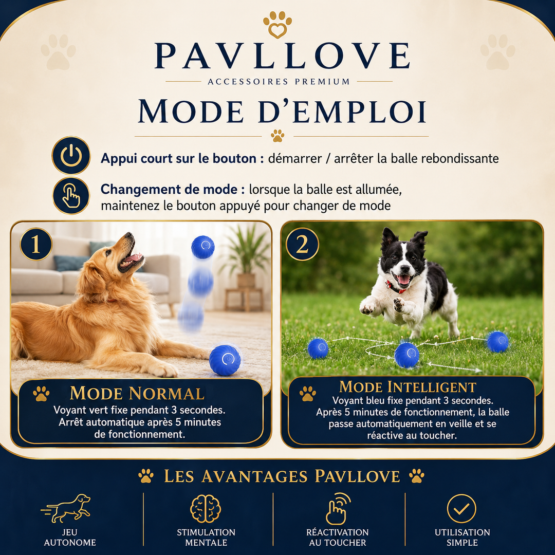 Balle interactive pour chien d’intérieur avec rotation automatique et mode intelligent
