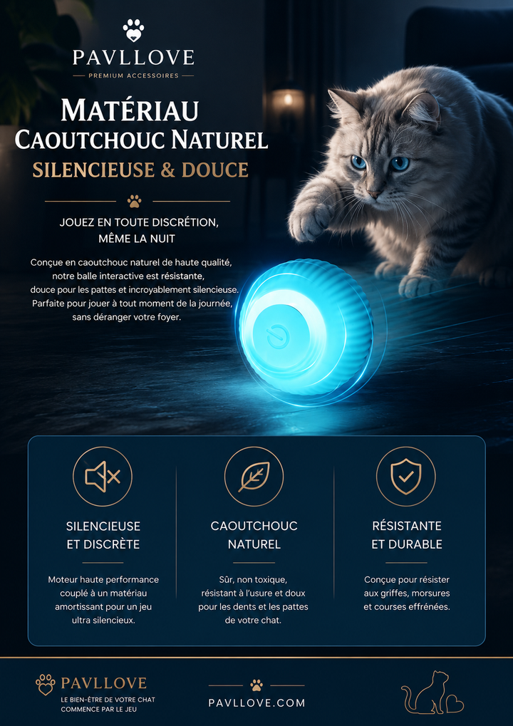 Balle intelligente pour chat et chaton avec deux modes de jeu et recharge USB