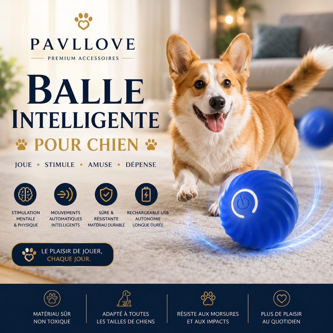 Jouet intelligent pour petit et moyen chien avec réactivation par contact