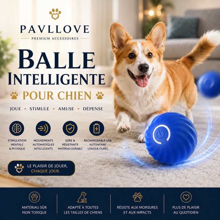Jouet intelligent pour petit et moyen chien avec réactivation par contact