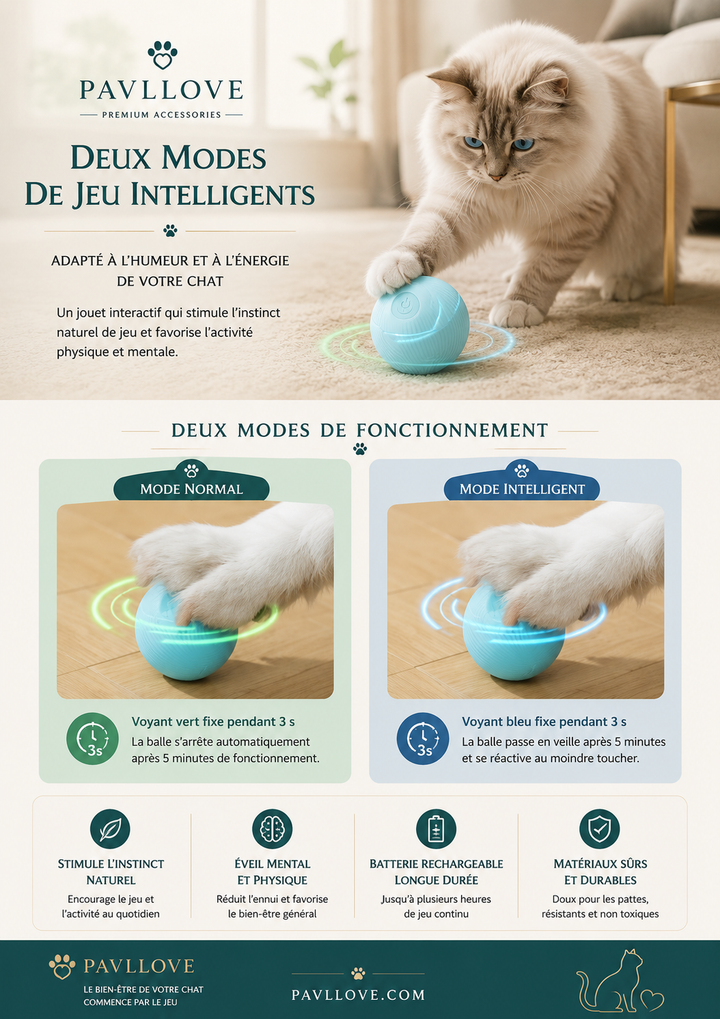 Jouet chat interactif anti ennui avec balle rotative automatique 360 degrés