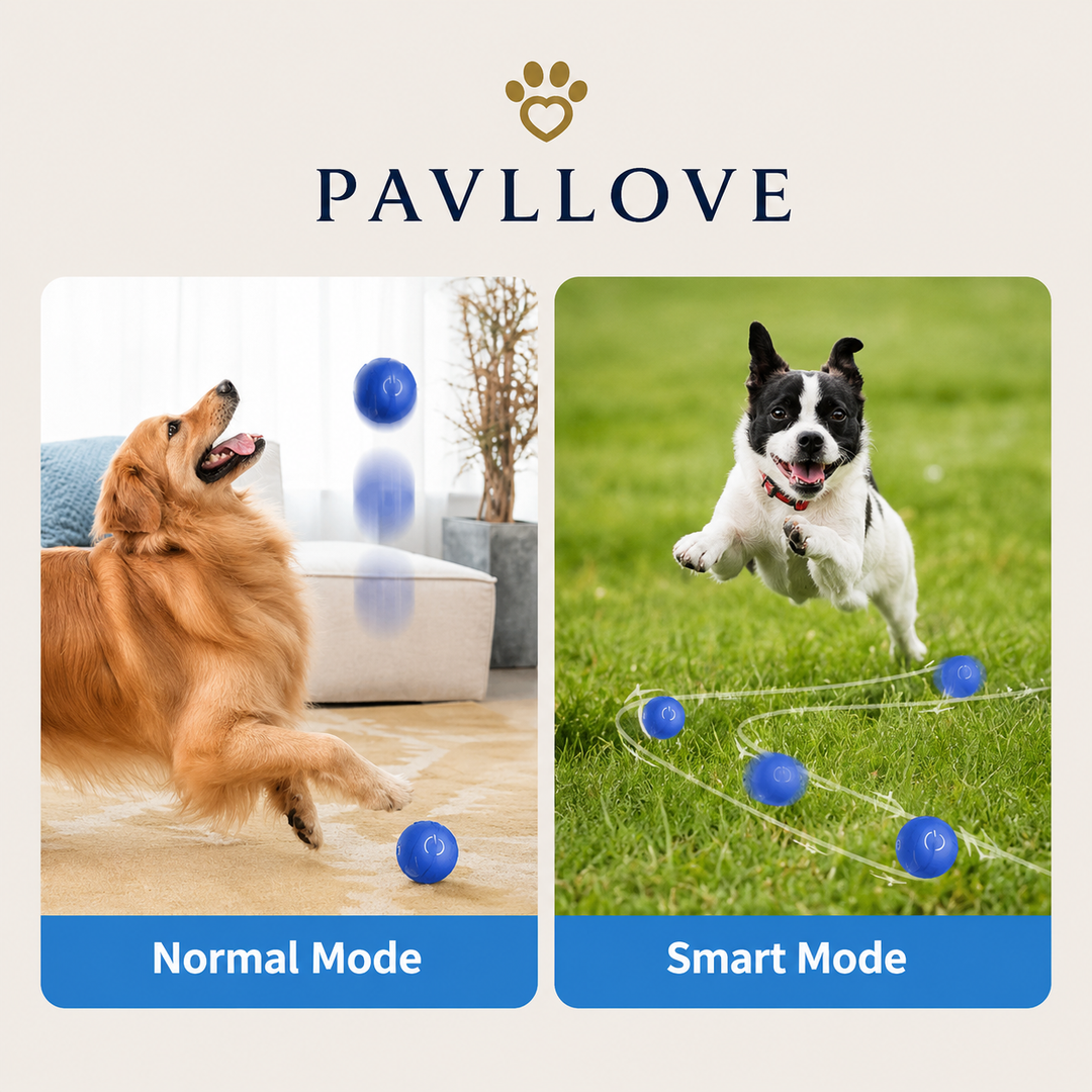 Jouet pour chien anti ennui avec balle interactive rechargeable et deux modes
