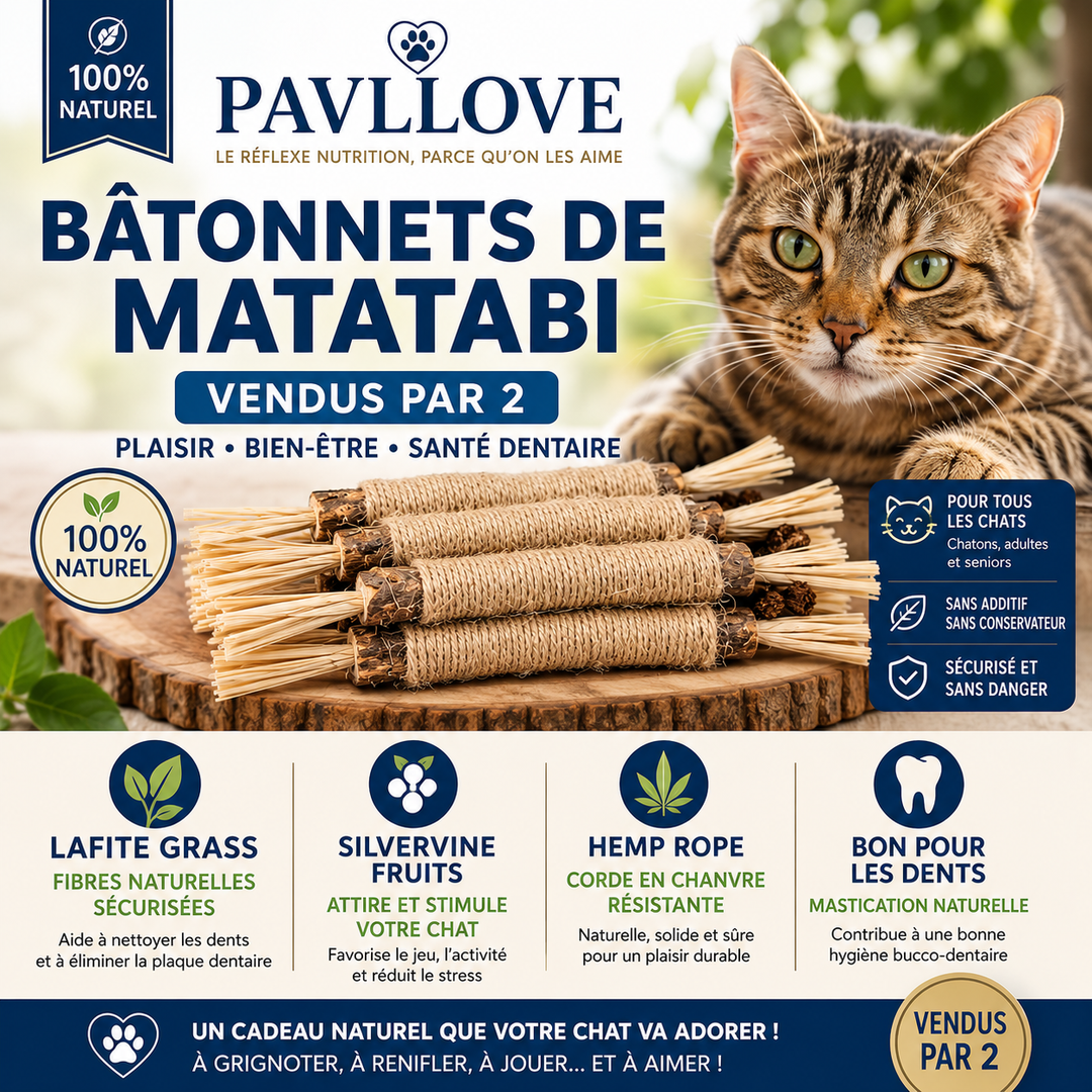 Bâtonnets d’Herbe à Chat Matatabi (X2) ⭐⭐⭐⭐⭐