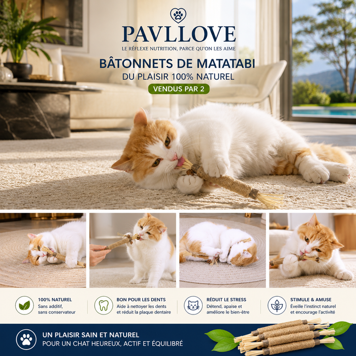 Bâtonnets d’Herbe à Chat Matatabi (X2) ⭐⭐⭐⭐⭐
