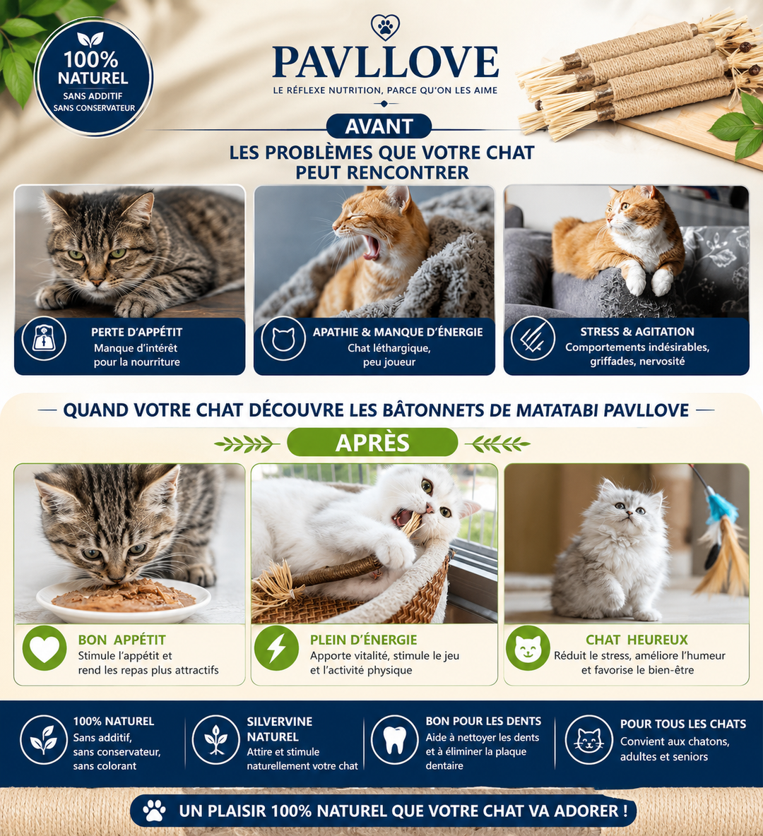 Bâtonnets d’Herbe à Chat Matatabi (X2) ⭐⭐⭐⭐⭐
