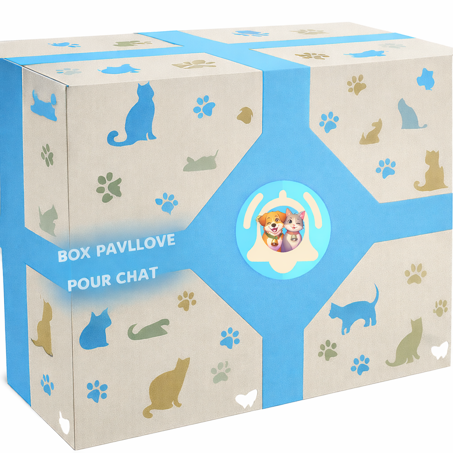 Box cadeau pour chat 
