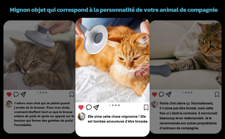 Brosse de toilettage Pavllove, déstressante et douce, adaptée à tous types de pelages, durable et ergonomique.