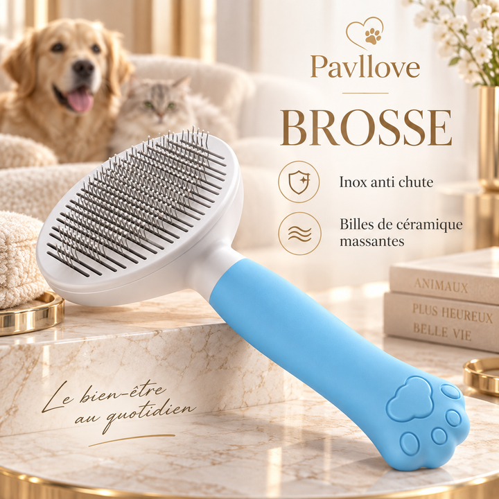 Brosse chien chat anti chute bleue et blanche Pavllove en acier inoxydable