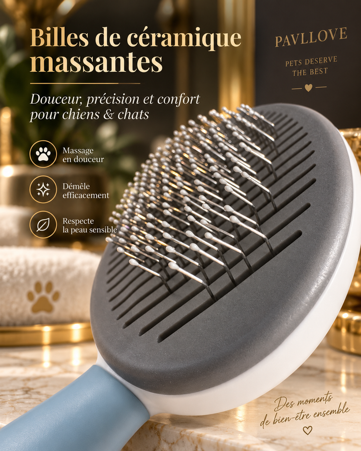 Brosse anti chute chat poils courts pour retirer les poils morts