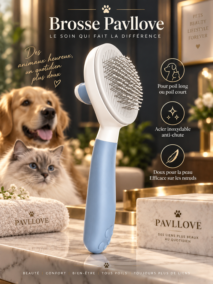 Brosse chien poils morts avec picots en acier inoxydable Pavllove