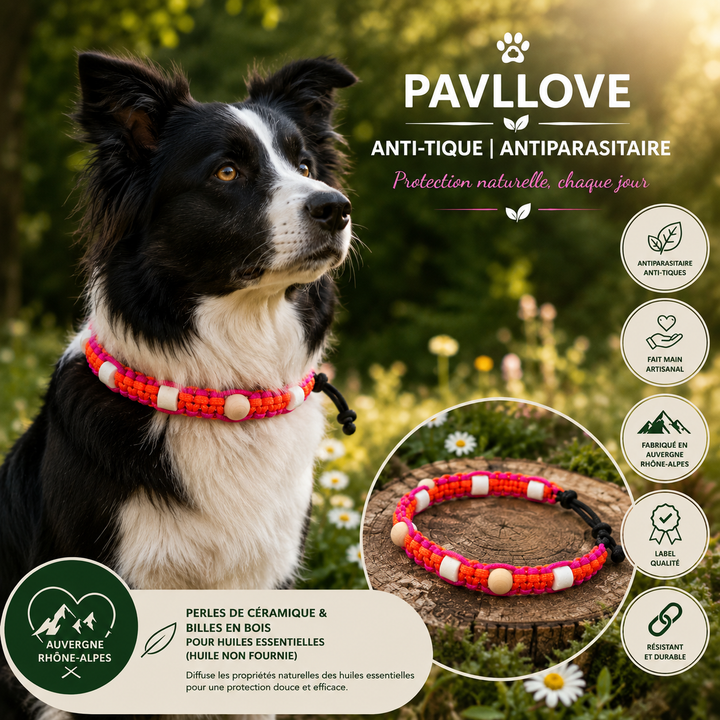 Collier Anti-Tiques & Antiparasitaire Naturel Chien et Chat, Fait Main en France, Perles de Céramique EM (Gamme Tréssée)